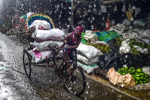 Xích lô trong cơn mưa ở Dhaka, Bangladesh Xích lô trong cơn mưa ở Dhaka, Bangladesh - Sputnik Việt Nam
