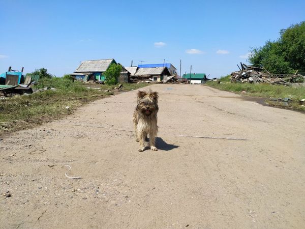 Quân đội tham gia khắc phục hậu quả lũ lụt ở vùng Irkutsk Quân đội tham gia khắc phục hậu quả lũ lụt ở vùng Irkutsk - Sputnik Việt Nam