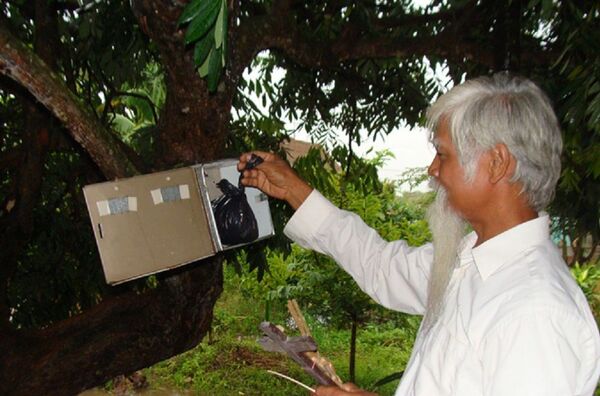 Ngôi mộ tập thể kinh dị giữa cánh đồng Nam Định và những cuộc an táng xót xa - Sputnik Việt Nam