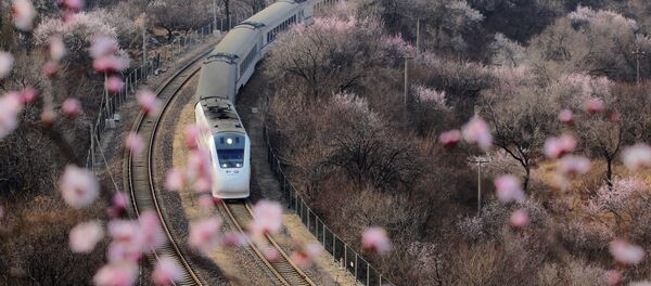 Tàu cao tốc đi ngang qua những rặng hoa ở Vạn Lý Trường Thành, Bắc Kinh - Sputnik Việt Nam