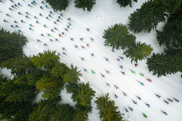 Bức ảnh A Shoal of Colorful Fish của nhiếp ảnh gia người Ba Lan Jacek  Deneka, giải nhất cuộc thi Drone Awards 2019 - Sputnik Việt Nam