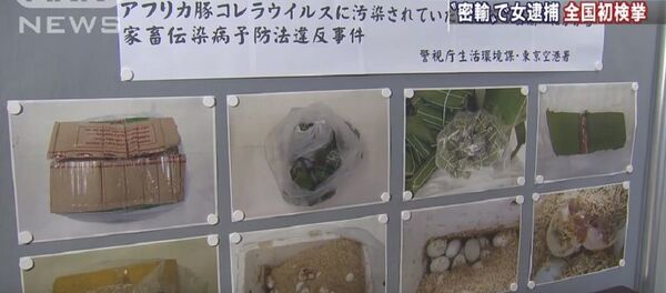 Cô gái Việt bị bắt vì mang nem chua vào Nhật Bản - Sputnik Việt Nam