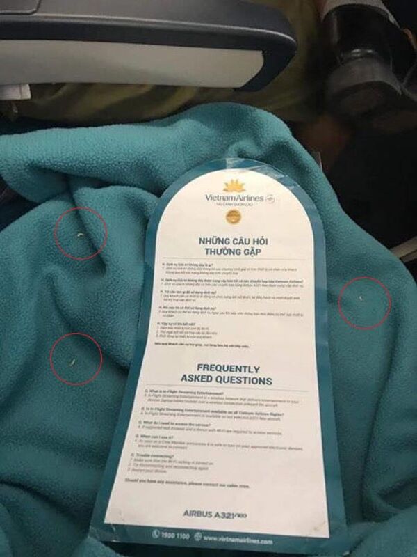 Vietnam Airlines lên tiếng về vụ việc có giòi trong chăn trên chuyến bay - Sputnik Việt Nam