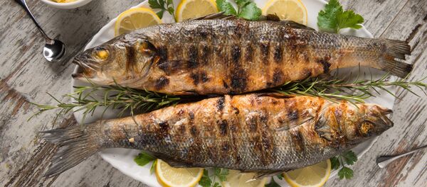 cá chiên cá chiên - Sputnik Việt Nam