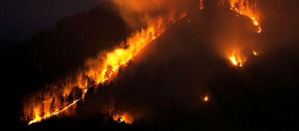 Vụ cháy rừng Krasnoyarsk - Sputnik Việt Nam