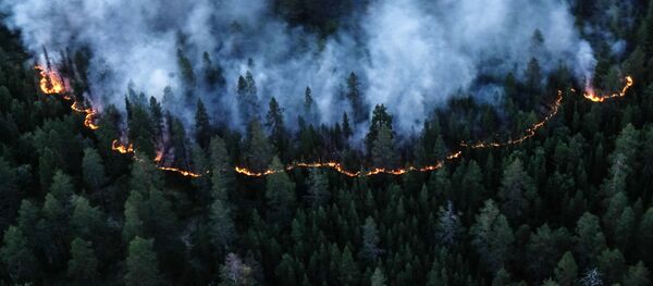 Rừng Siberia chìm trong biển lửa  - Sputnik Việt Nam