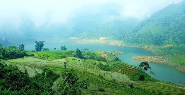 Những thửa ruộng bậc thang hùng vỹ, độc đáo tuyệt đẹp của bà con dân tộc Mông, Dao, Hà Nhì...thuộc xã Y Tý, huyện Bát Xát. Những thửa ruộng bậc thang hùng vỹ, độc đáo tuyệt đẹp của bà con dân tộc Mông, Dao, Hà Nhì...thuộc xã Y Tý, huyện Bát Xát. - Sputnik Việt Nam