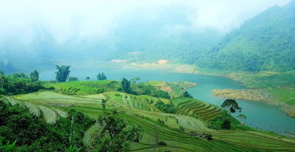 Những thửa ruộng bậc thang hùng vỹ, độc đáo tuyệt đẹp của bà con dân tộc Mông, Dao, Hà Nhì...thuộc xã Y Tý, huyện Bát Xát.  - Sputnik Việt Nam