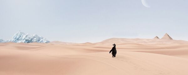 Biến đổi khí hậu. Biến đổi khí hậu. - Sputnik Việt Nam