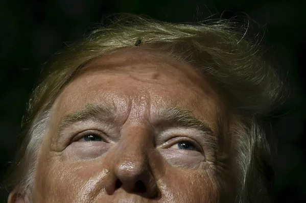 Con ruồi «dạo chơi» trên tóc Tổng thống Mỹ Donald Trump khi ông diễn thuyết tại Jamestown, bang Virginia Con ruồi «dạo chơi» trên tóc Tổng thống Mỹ Donald Trump khi ông diễn thuyết tại Jamestown, bang Virginia - Sputnik Việt Nam