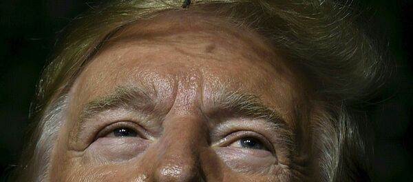 Con ruồi «dạo chơi» trên tóc Tổng thống Mỹ Donald Trump khi ông diễn thuyết tại Jamestown, bang Virginia - Sputnik Việt Nam