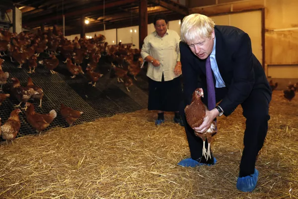 Thủ tướng Anh Boris Johnson với con gà trên tay trong chuyến thăm trang trại ở xứ Wales Thủ tướng Anh Boris Johnson với con gà trên tay trong chuyến thăm trang trại ở xứ Wales - Sputnik Việt Nam