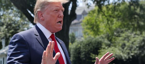 Donald Trump speaks to the news media after returning from a quick trip to Williamsburg, Virginia, in Washington, U.S., July 30, 2019 Donald Trump speaks to the news media after returning from a quick trip to Williamsburg, Virginia, in Washington, U.S., July 30, 2019 - Sputnik Việt Nam