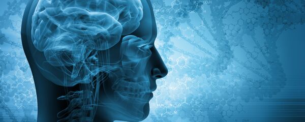 não não - Sputnik Việt Nam