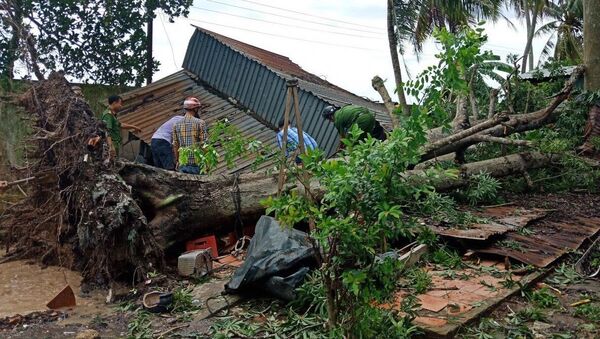 Cây to bật gốc đè sập nhà dân trong mưa dông.  - Sputnik Việt Nam