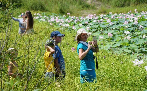 Khách tham quan lễ hội Lotus-2019 trên hồ Basseyn gần làng Yakovlevka - Sputnik Việt Nam