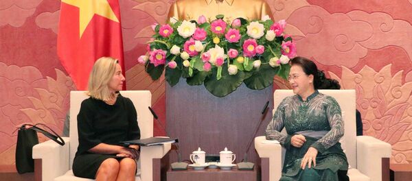 Chủ tịch Quốc hội Nguyễn Thị Kim Ngân tiếp Phó Chủ tịch Ủy ban châu Âu Federica Mogherini - Sputnik Việt Nam