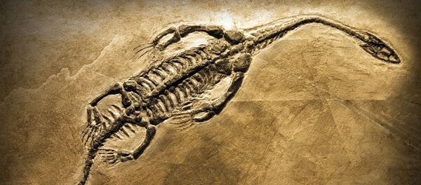 Khủng long - Sputnik Việt Nam