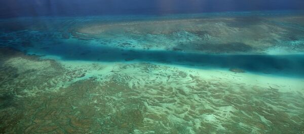 Biển Đông - Sputnik Việt Nam