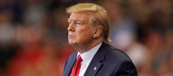 Tổng thống Hoa Kỳ Donald Trump - Sputnik Việt Nam