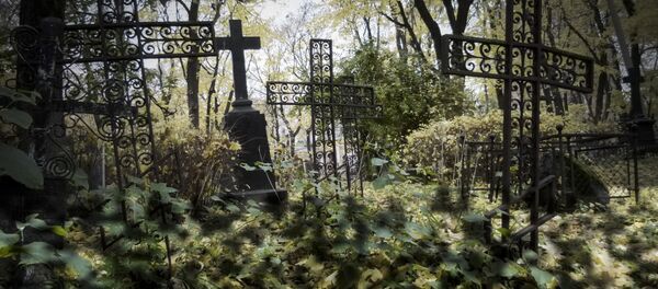 Nghĩa trang. Nghĩa trang. - Sputnik Việt Nam
