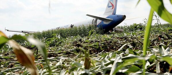 Máy bay A-321 hạ cánh khẩn cấp Máy bay A-321 hạ cánh khẩn cấp - Sputnik Việt Nam