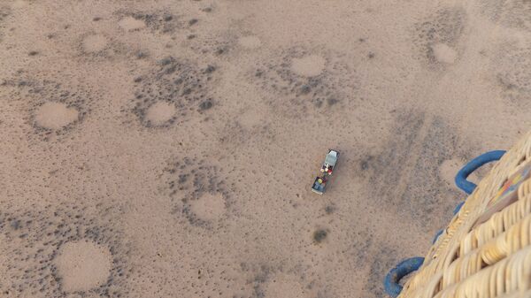 Các nhà khoa học tìm được lời giải đáp cho những vòng tròn bí ẩn trên cánh đồng - Sputnik Việt Nam