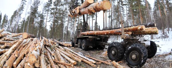 Gỗ - Sputnik Việt Nam