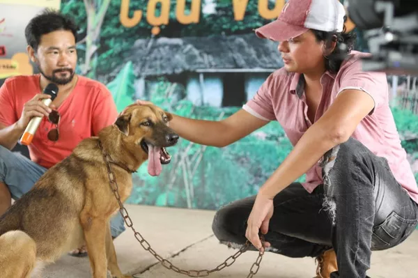 Nhà sản xuất lên tiếng về tranh cãi chọn chó Nhật Shiba Inu đóng Cậu Vàng Nhà sản xuất lên tiếng về tranh cãi chọn chó Nhật Shiba Inu đóng Cậu Vàng - Sputnik Việt Nam