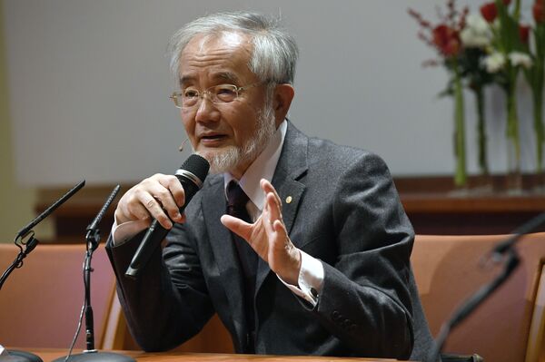 Mốt nhịn đói. Vì sao một số người bỏ ăn và liệu điều này sẽ đưa đến những hậu quả gì? - Sputnik Việt Nam