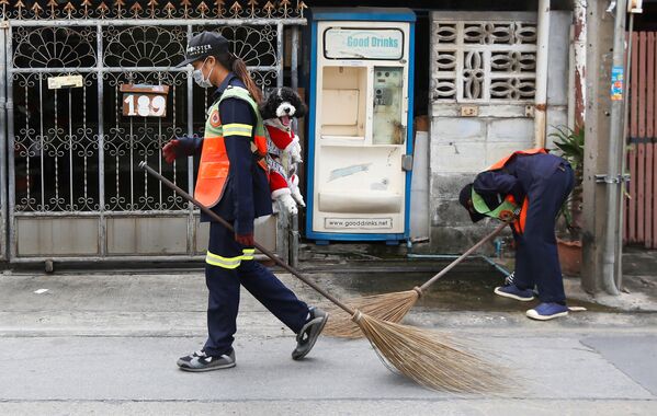 Nhân viên vệ sinh môi trường mang mặt nạ với chổi và chú cún poodle ở Bangkok, Thái Lan - Sputnik Việt Nam