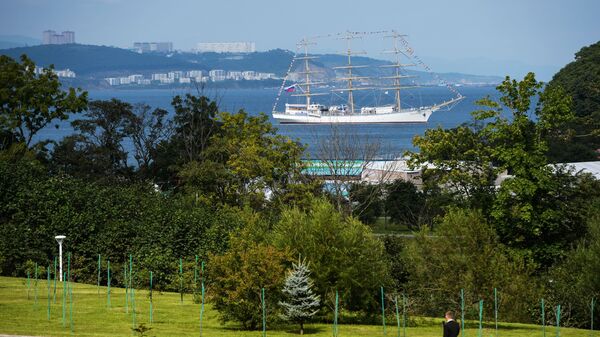Quang cảnh bờ vịnh Ayaks từ khuôn viên Đại học tổng hợp liên bang Viễn Đông (FEFU) trên đảo Russky ở Vladivostok - Sputnik Việt Nam