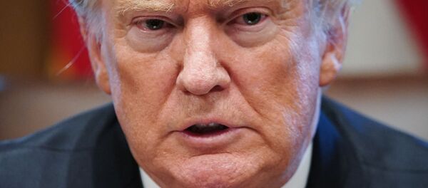 Tổng thống Mỹ Donald Trump - Sputnik Việt Nam