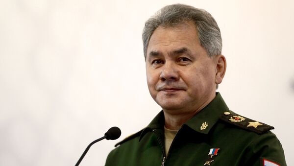 Sergei Shoigu - Sputnik Việt Nam