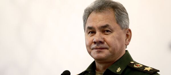 Sergei Shoigu - Sputnik Việt Nam