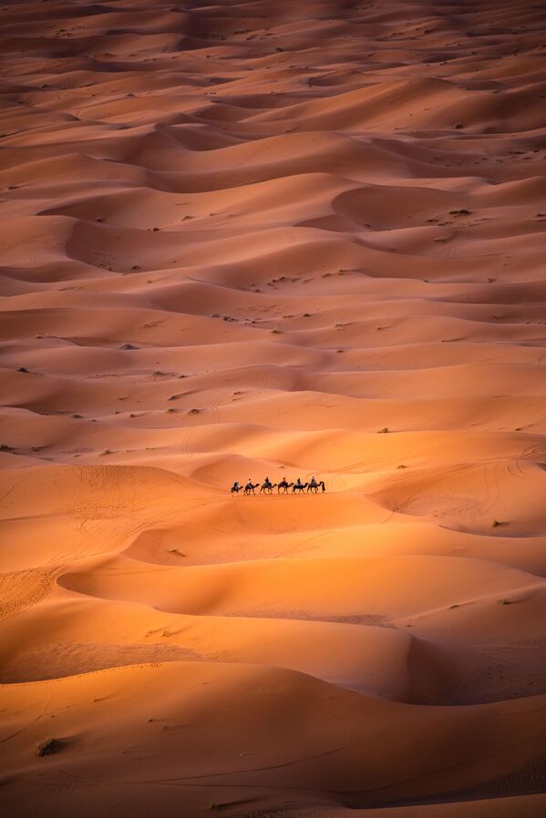 Bức ảnh Alone in the desert (Cô đơn trong sa mạc) của nhiếp ảnh gia Tây Ban Nha Carles Alonso, tham gia cuộc thi ảnh AGORA Awards 2019 - Sputnik Việt Nam