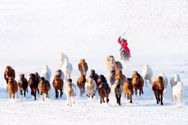 Bức ảnh Snow Horseman (Kỵ sỹ tuyết) của nhiếp ảnh gia Myanmar Zay Yar Lin, tham gia cuộc thi ảnh AGORA Awards 2019 - Sputnik Việt Nam