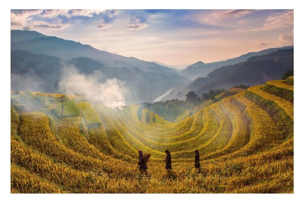 Ruộng bậc thang Mù Cang Chải (Yên Bái) vào mùa lúa chín. - Sputnik Việt Nam