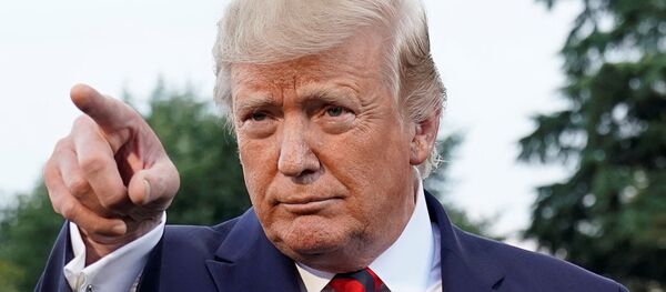 Tổng thống Mỹ Donald Trump - Sputnik Việt Nam