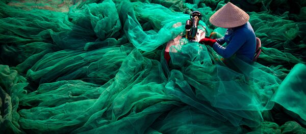 Bức ảnh “Trái tim đại dương” của nhiếp ảnh gia Trần Tuấn Việt, lọt chung kết cuộc thi Environmental Photographer of the Year 2019 - Sputnik Việt Nam