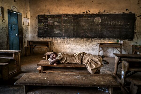 Bức ảnh Sweet dreams của nhiếp ảnh gia Antonio Aragon Renuncio, lọt chung kết cuộc thi Environmental Photographer of the Year 2019 - Sputnik Việt Nam