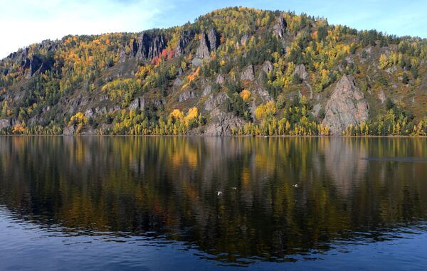 Vịt trời bay qua sông Yenisei, quận Divnogorsk tỉnh Krasnoyarsk - Sputnik Việt Nam