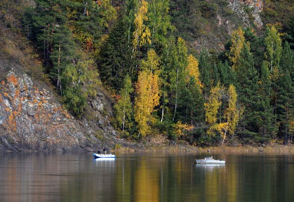 Người câu cá trên sông Yenisei, ngoại ô quận Divnogorsk - Sputnik Việt Nam