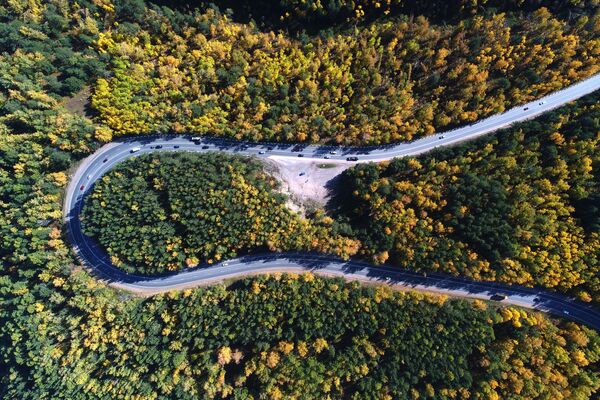 Ô tô chạy trên đường cao tốc liên bang P257 “Yenisei” trong rừng thu taiga Siberia, tây nam Krasnoyarsk - Sputnik Việt Nam