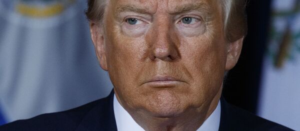 Tổng thống Mỹ Donald Trump - Sputnik Việt Nam