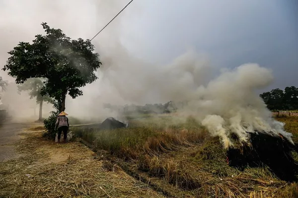 Bộ Tài nguyên và Môi trường báo cáo gì về tình trạng ô nhiễm môi trường với Thủ tướng? Bộ Tài nguyên và Môi trường báo cáo gì về tình trạng ô nhiễm môi trường với Thủ tướng? - Sputnik Việt Nam