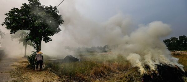 Đốt rơm rạ gây khói mù tại khu vực các xã huyện Quốc Oai Đốt rơm rạ gây khói mù tại khu vực các xã huyện Quốc Oai - Sputnik Việt Nam