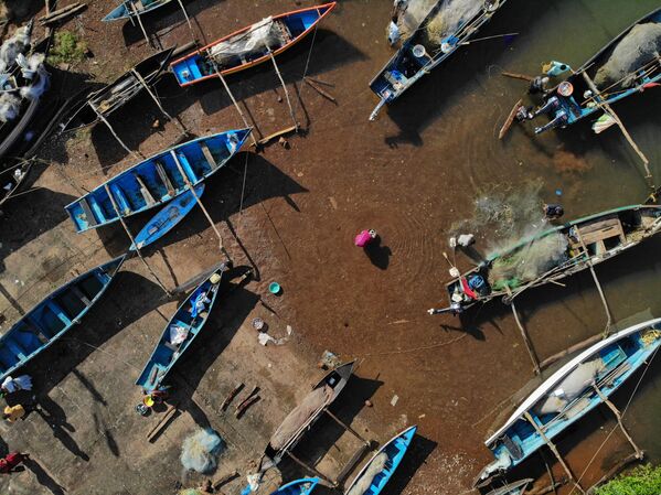 Thương nhân thu mua hải sản tại cảng cá ở làng Agonda, Nam Goa - Sputnik Việt Nam