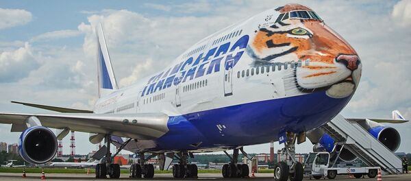 Máy bay Boeing 747-400 của hãng hàng không Transaero sơn màu lông hổ trong đề án Chuyến bay lông vằn - Sputnik Việt Nam