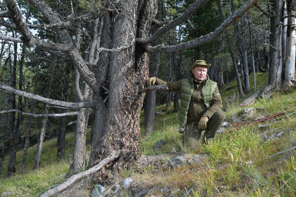 Tổng thống Liên bang Nga Vladimir Putin tại rừng taiga ở Siberia - Sputnik Việt Nam